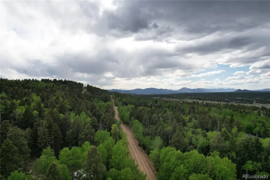 776 Jolly Rogue Drive Divide CO 80814