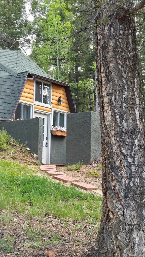 776 Jolly Rogue Drive Divide CO 80814