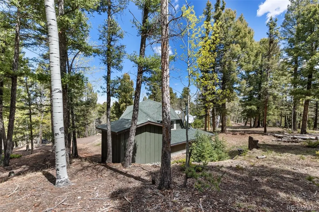 776 Jolly Rogue Drive Divide CO 80814