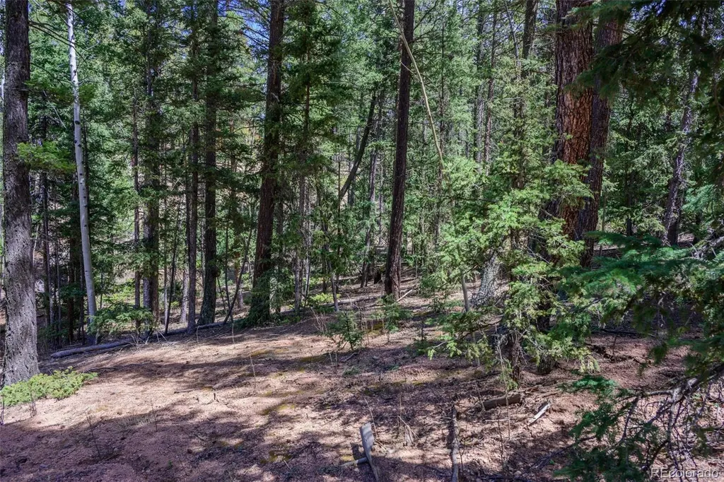 2763 N Mountain Estates Road Florissant CO 80816