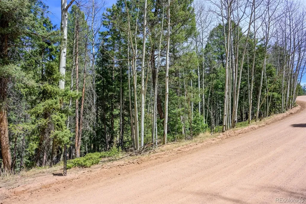 2763 N Mountain Estates Road Florissant CO 80816
