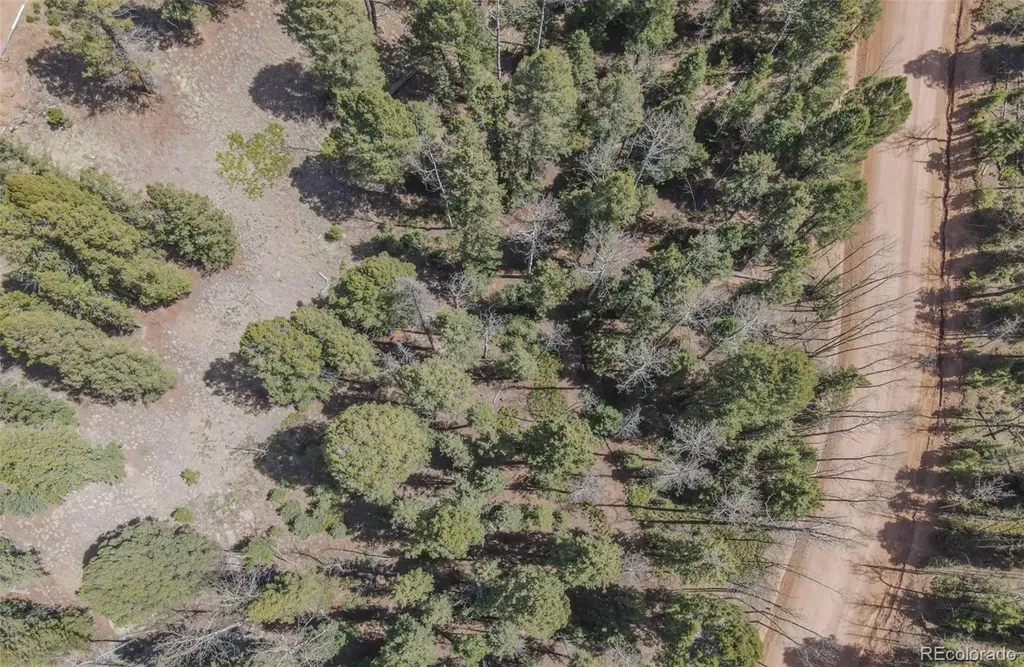 2763 N Mountain Estates Road Florissant CO 80816