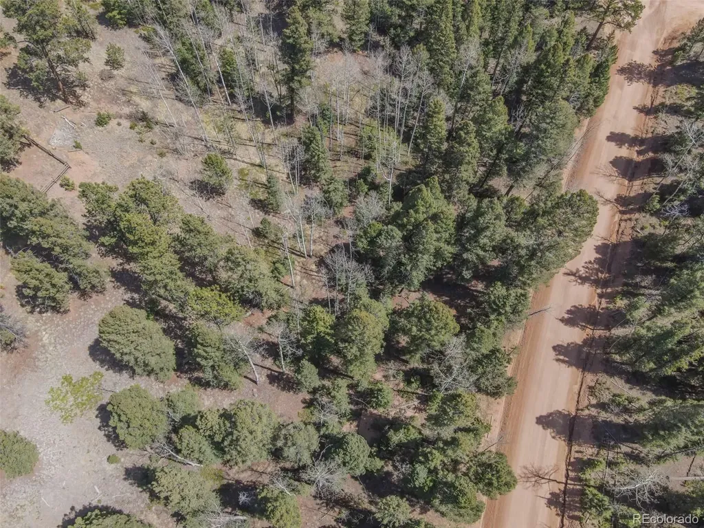 2763 N Mountain Estates Road Florissant CO 80816