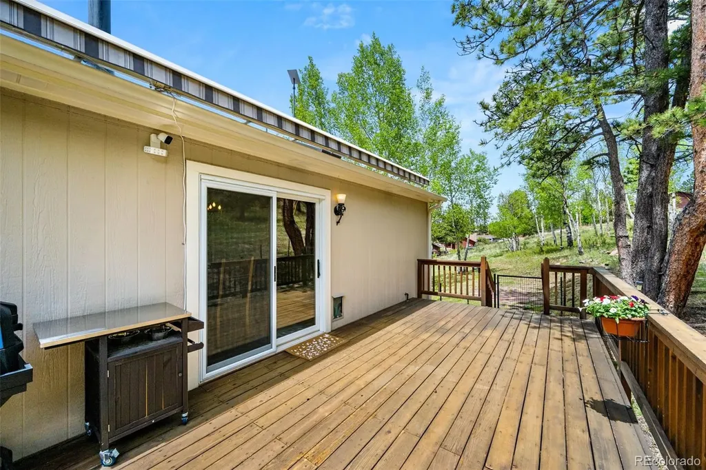114 Lakewood Circle Woodland Park CO 80863