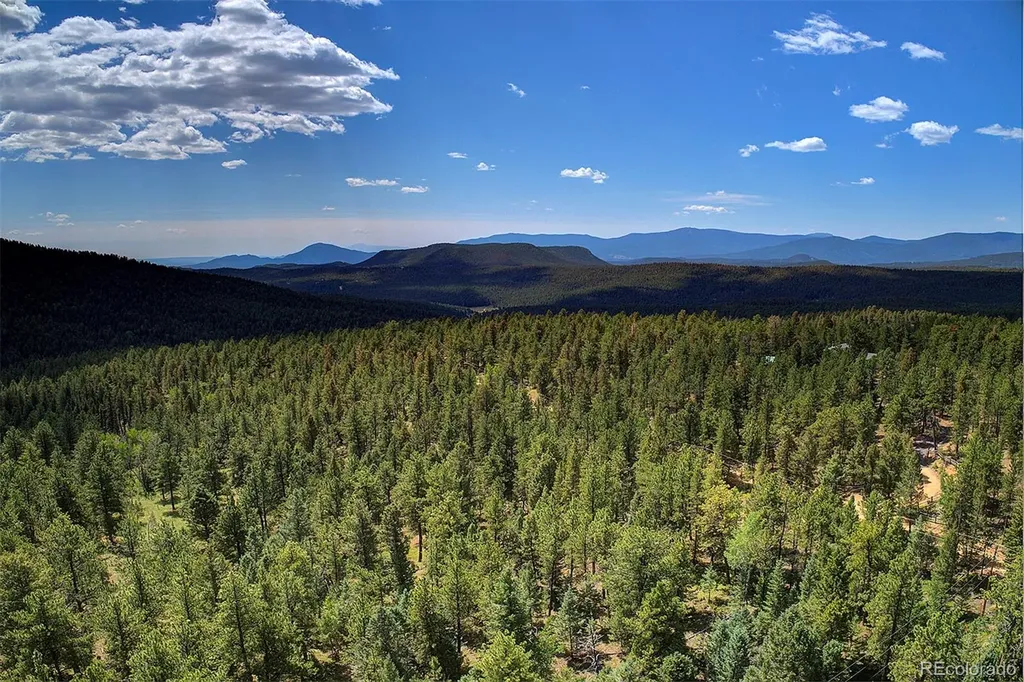 448 Cr-b Pine CO 80470