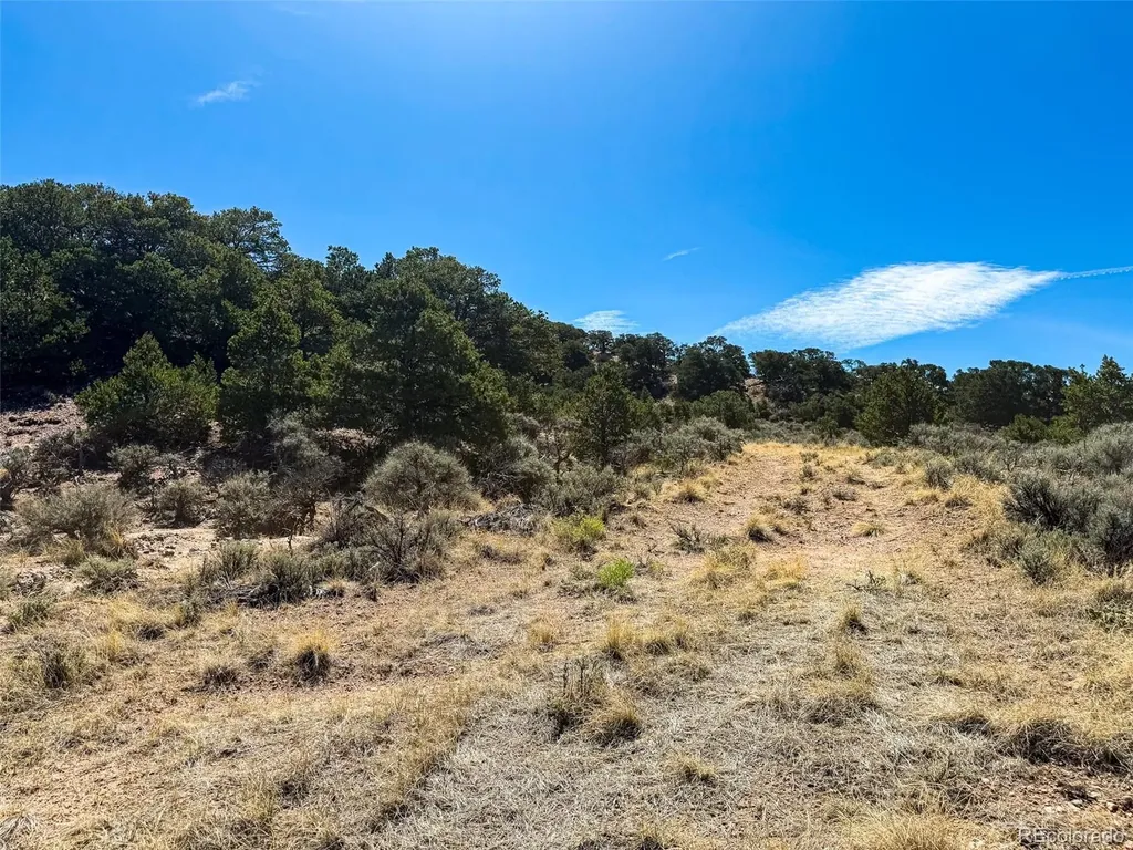 2153 Acapulco Road Fort Garland CO 81133