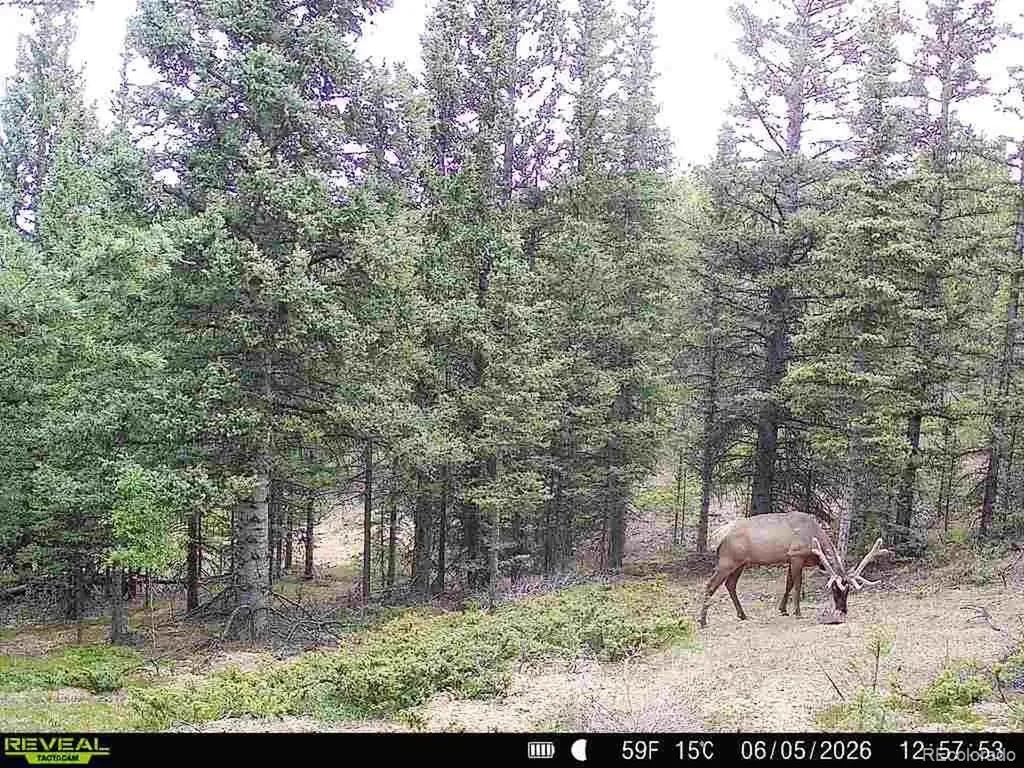 6601 Heckman Road San Luis CO 81152