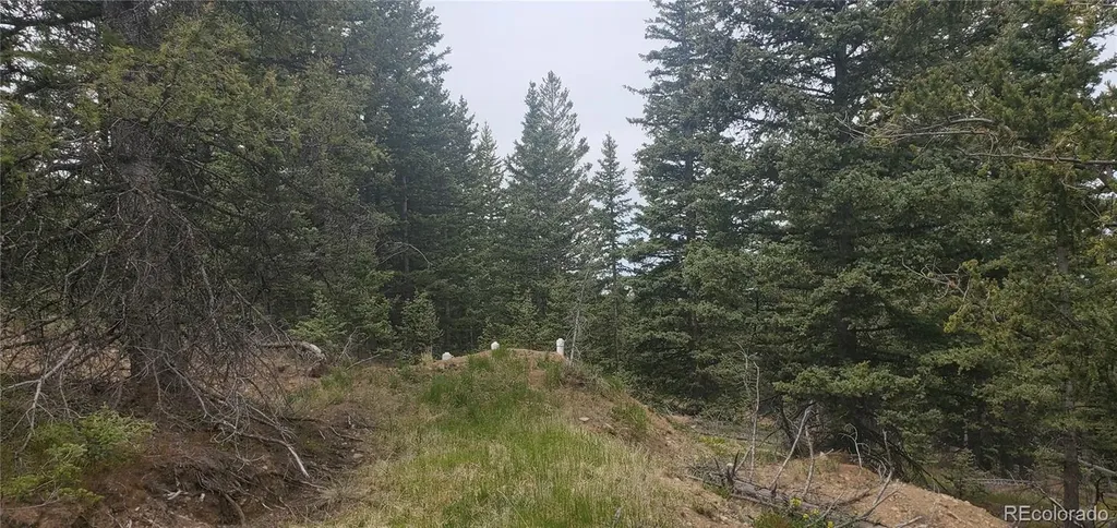 6601 Heckman Road San Luis CO 81152
