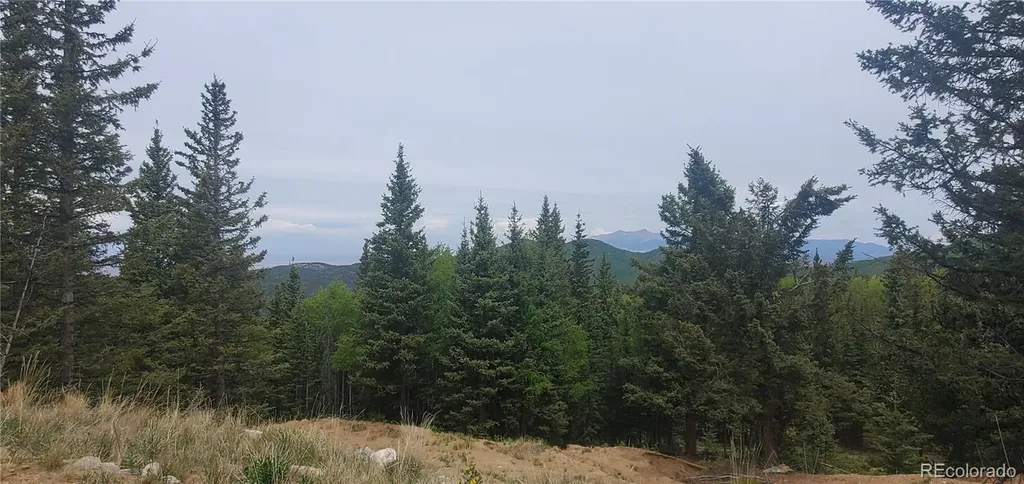 6601 Heckman Road San Luis CO 81152