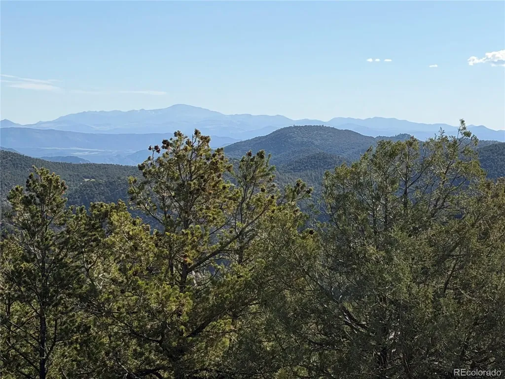 20 Molly Lane Cotopaxi CO 81223