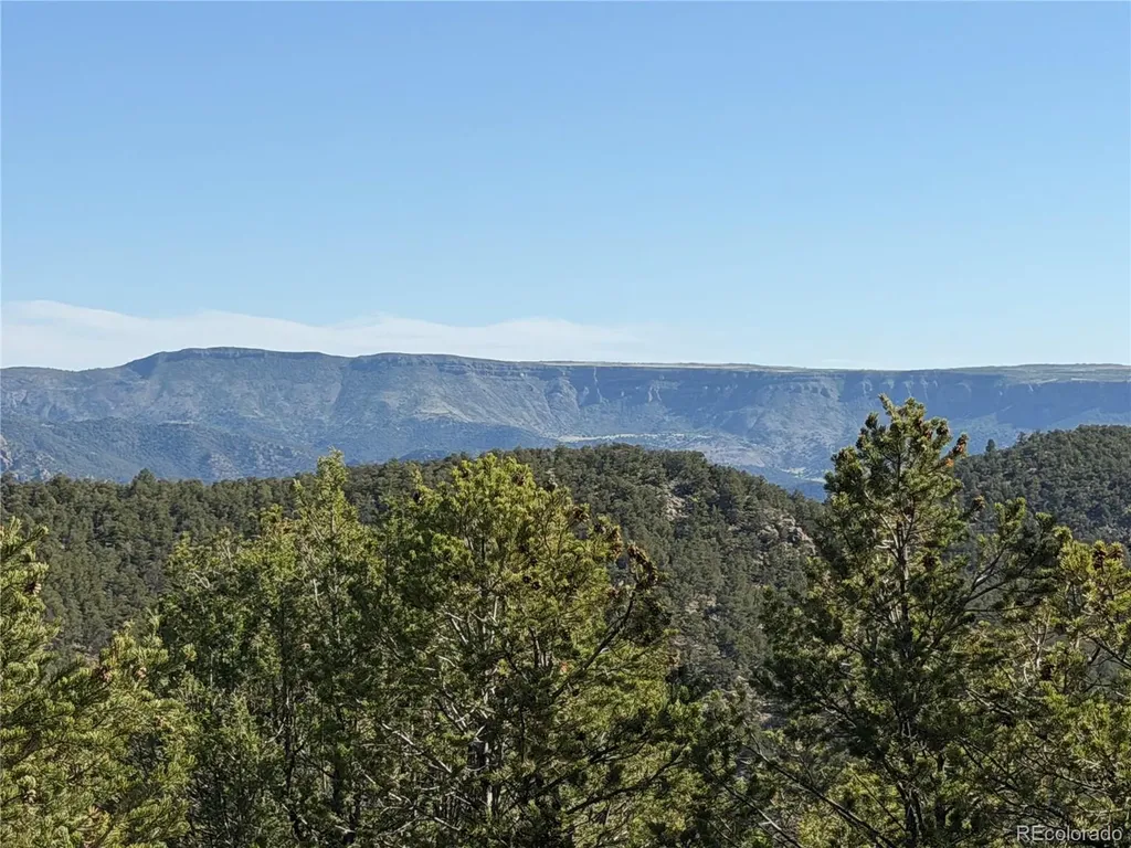 20 Molly Lane Cotopaxi CO 81223