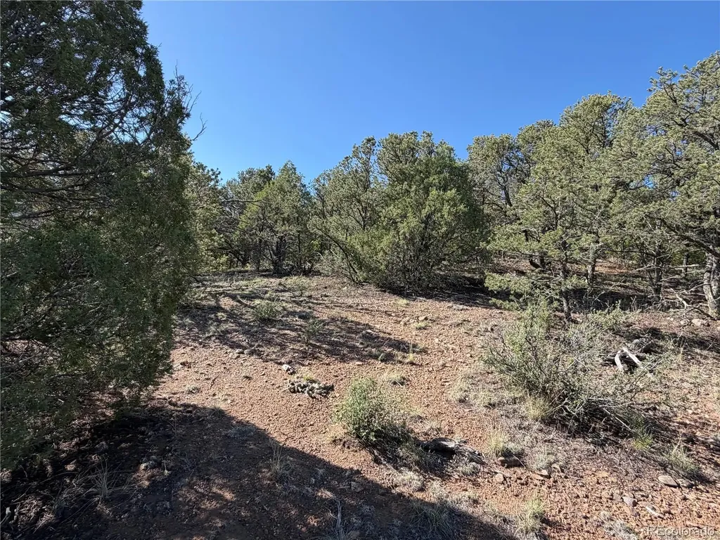 20 Molly Lane Cotopaxi CO 81223