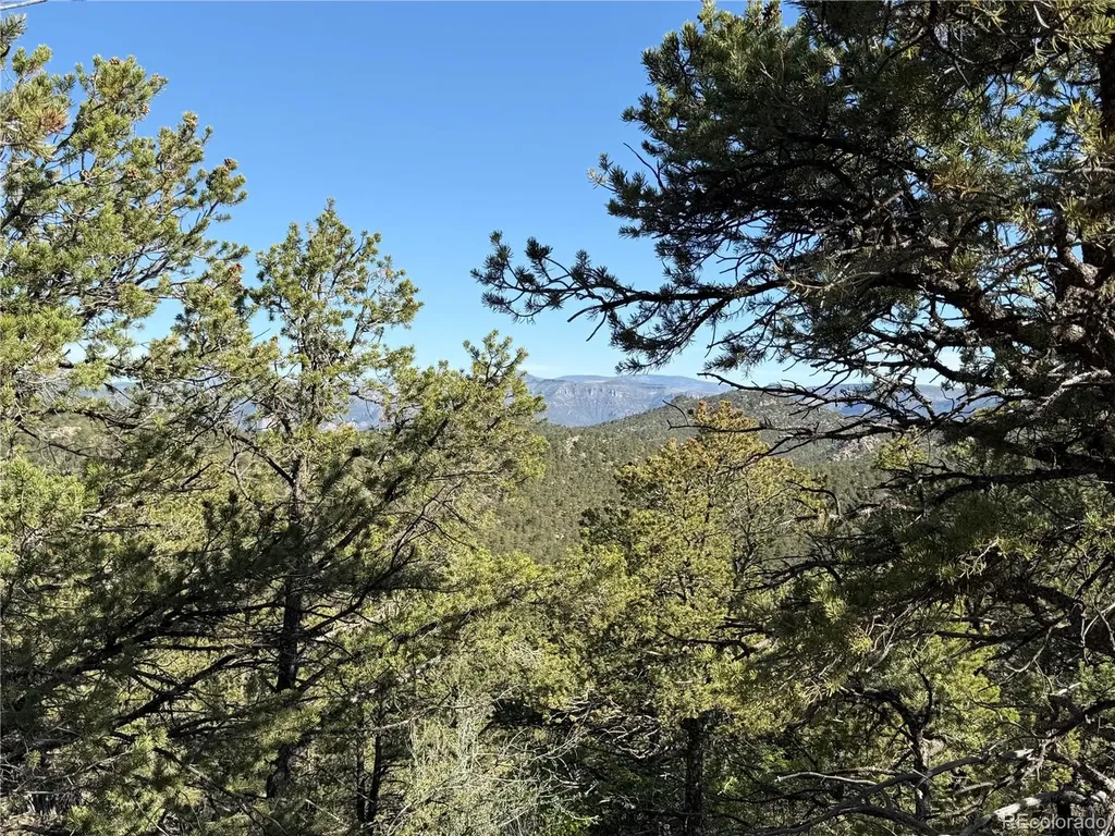 20 Molly Lane Cotopaxi CO 81223