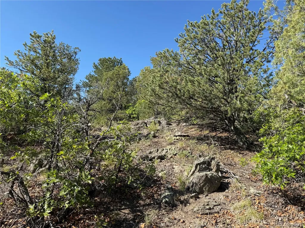 20 Molly Lane Cotopaxi CO 81223