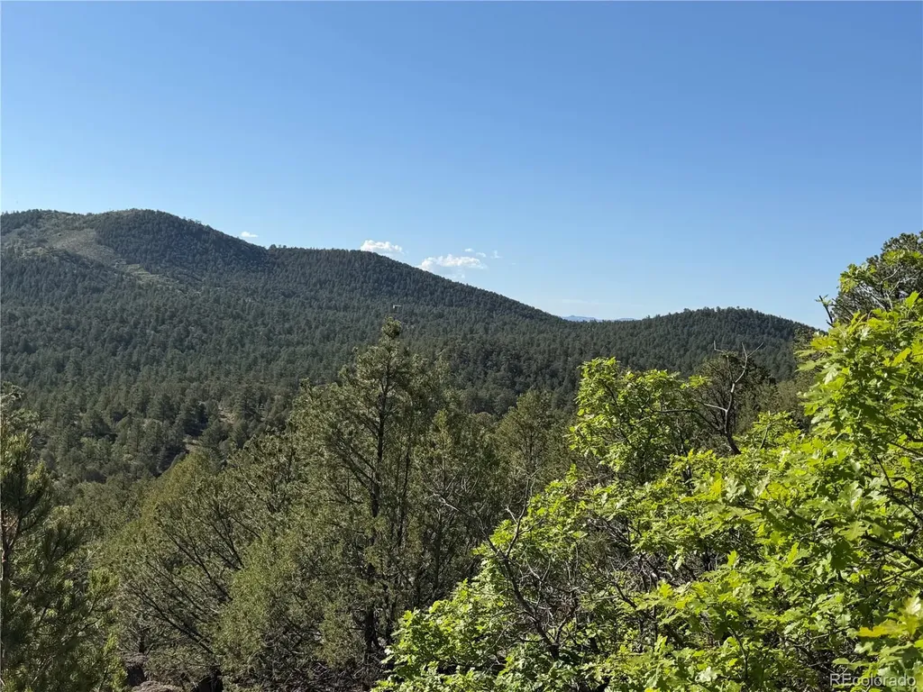 20 Molly Lane Cotopaxi CO 81223