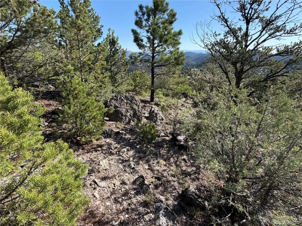 20 Molly Lane Cotopaxi CO 81223