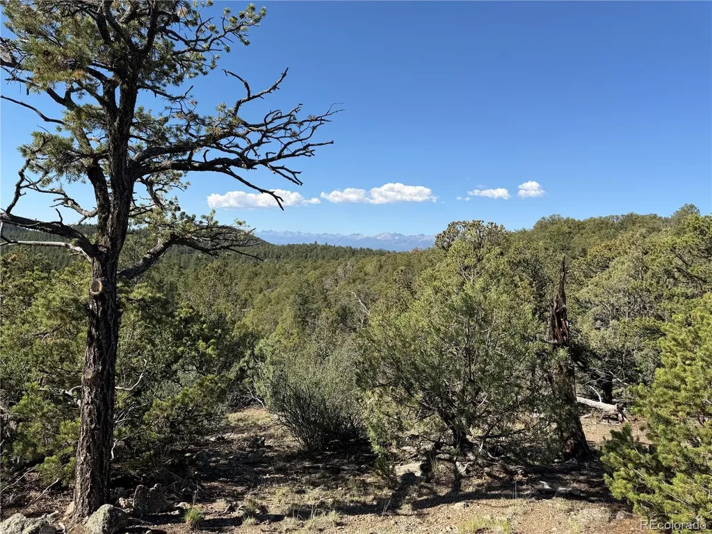 20 Molly Lane Cotopaxi CO 81223