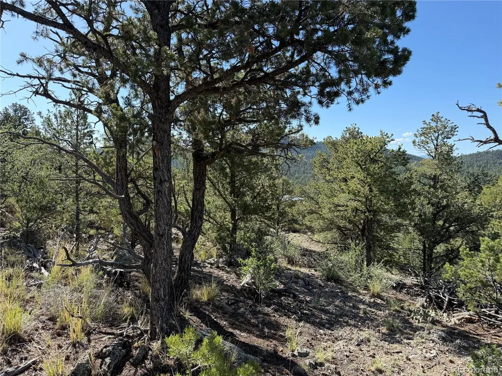20 Molly Lane Cotopaxi CO 81223