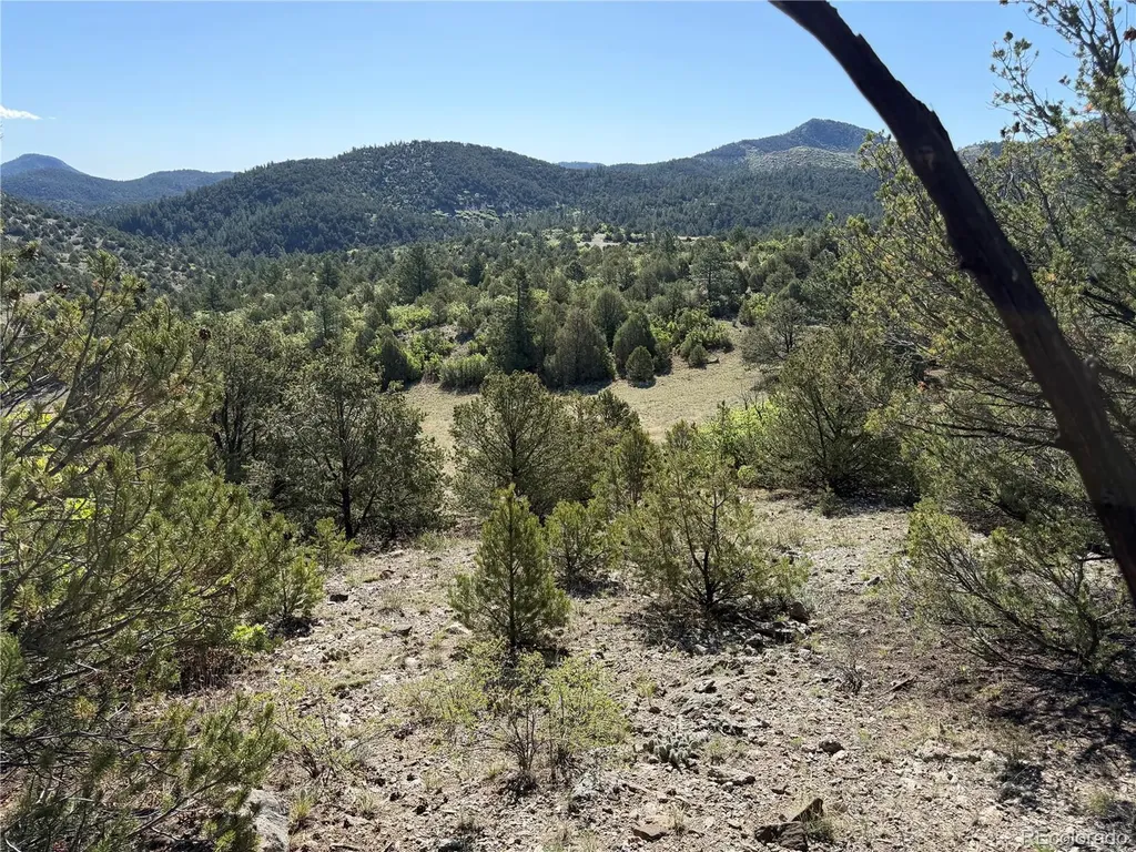 20 Molly Lane Cotopaxi CO 81223