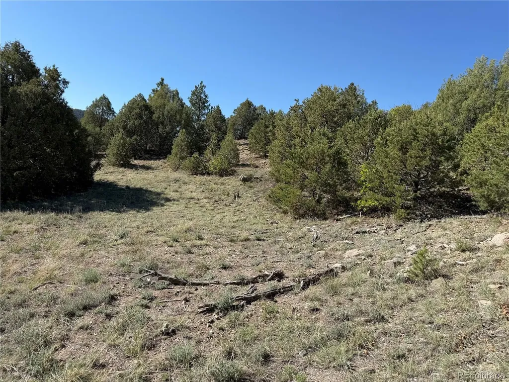 20 Molly Lane Cotopaxi CO 81223