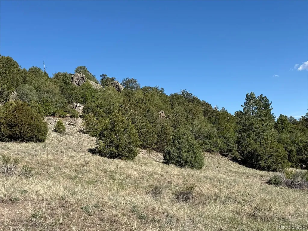 20 Molly Lane Cotopaxi CO 81223