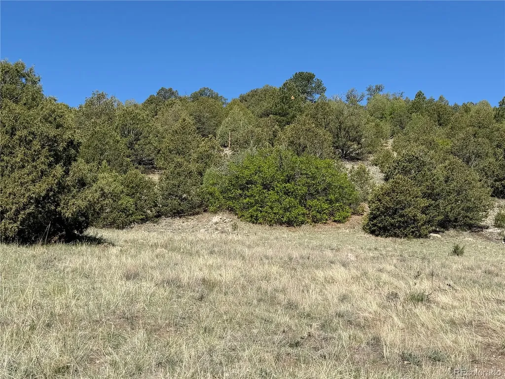 20 Molly Lane Cotopaxi CO 81223