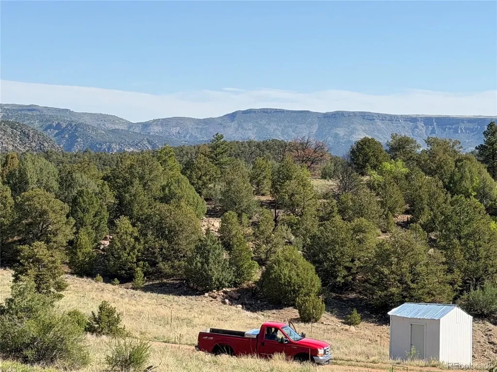 20 Molly Lane Cotopaxi CO 81223