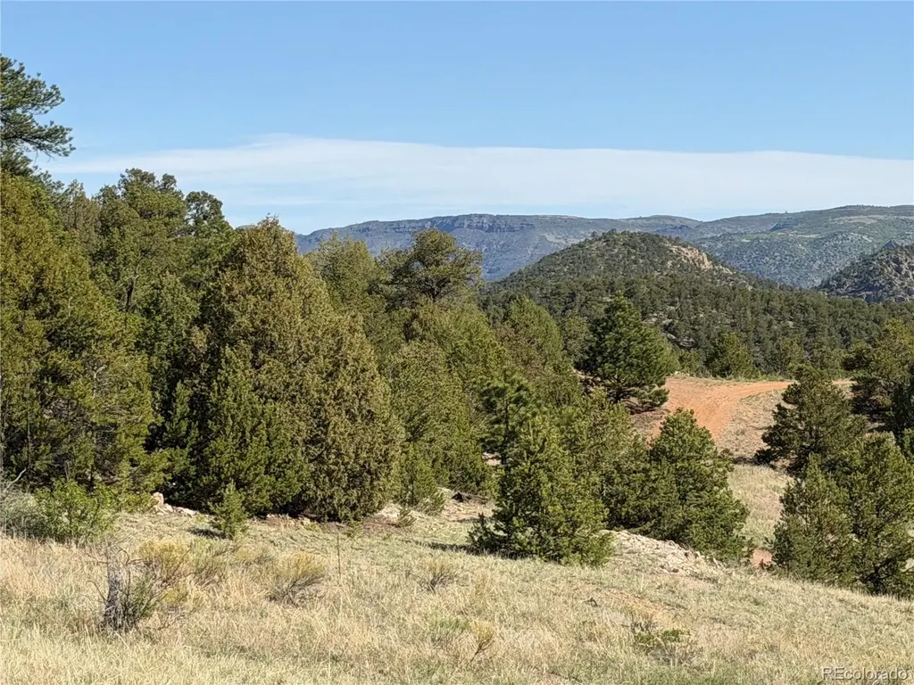 20 Molly Lane Cotopaxi CO 81223