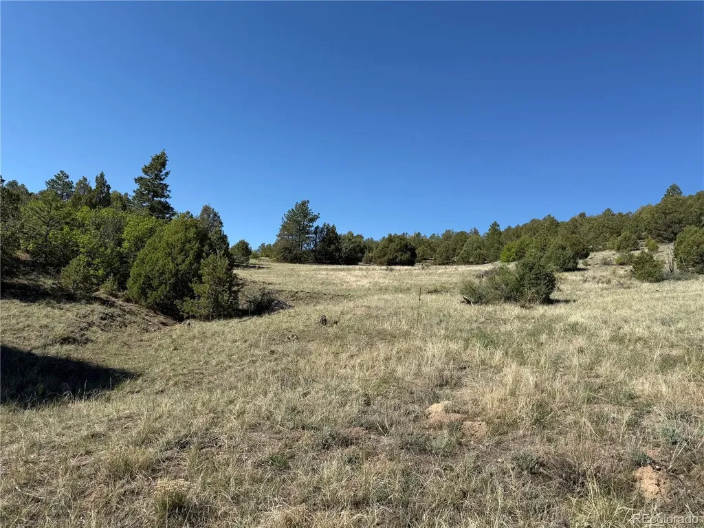 20 Molly Lane Cotopaxi CO 81223