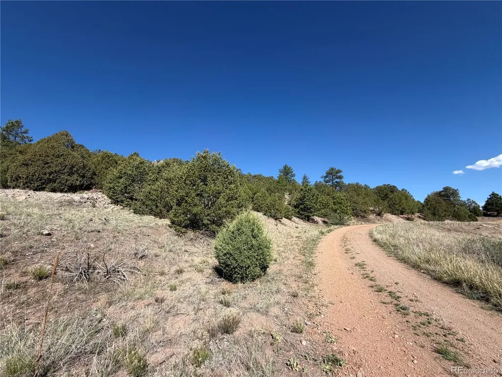 20 Molly Lane Cotopaxi CO 81223