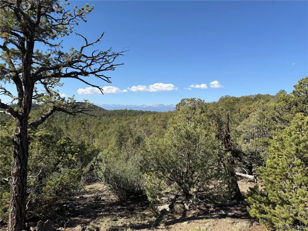 20 Molly Lane Cotopaxi CO 81223