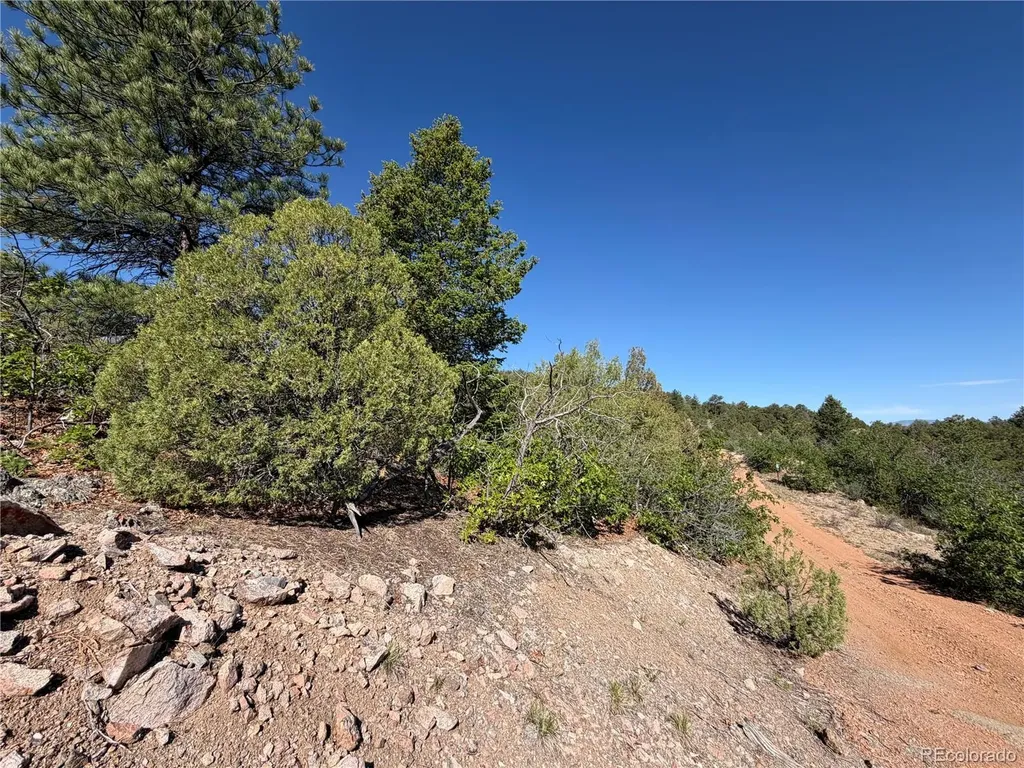 20 Molly Lane Cotopaxi CO 81223