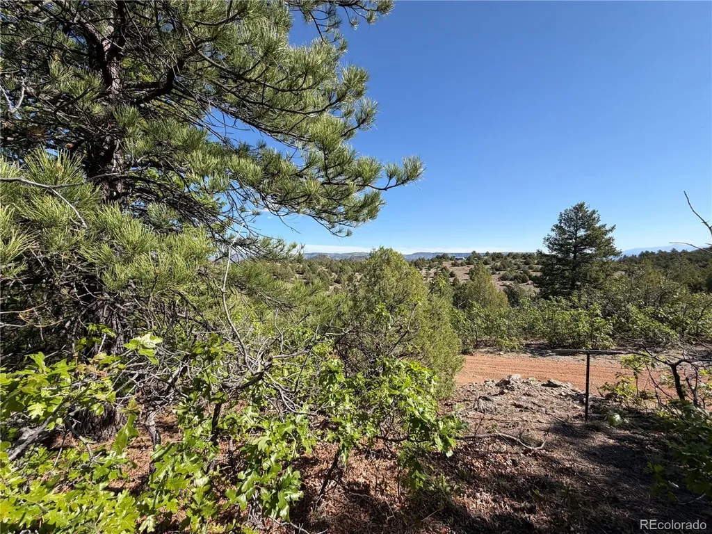 20 Molly Lane Cotopaxi CO 81223