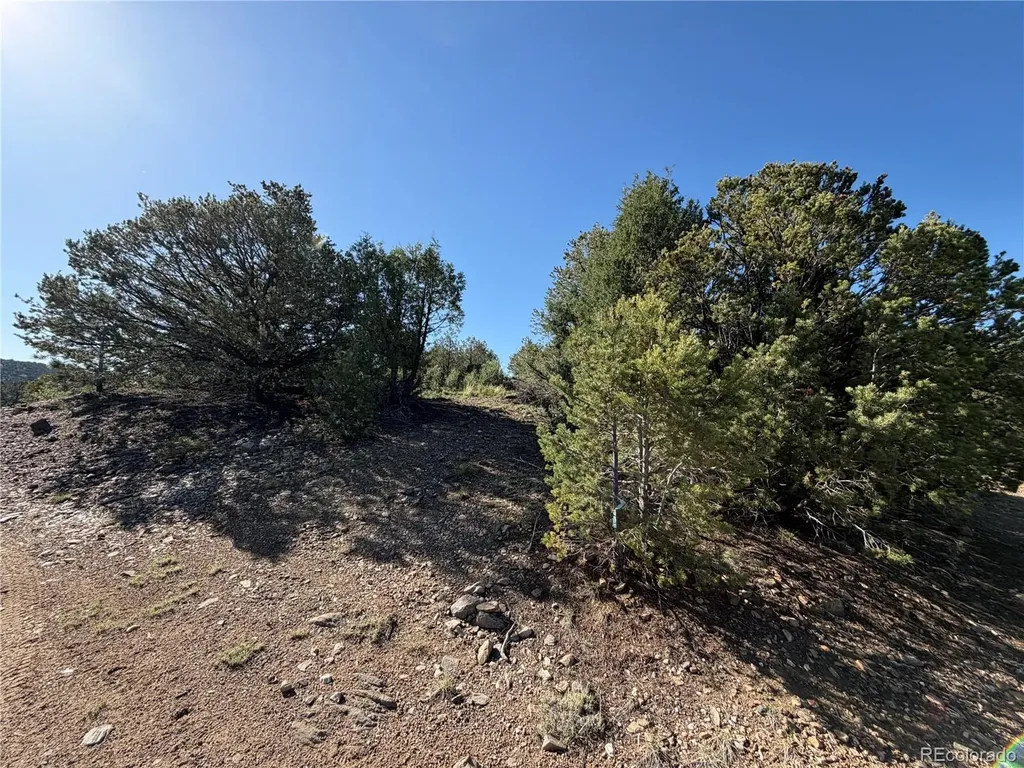 20 Molly Lane Cotopaxi CO 81223
