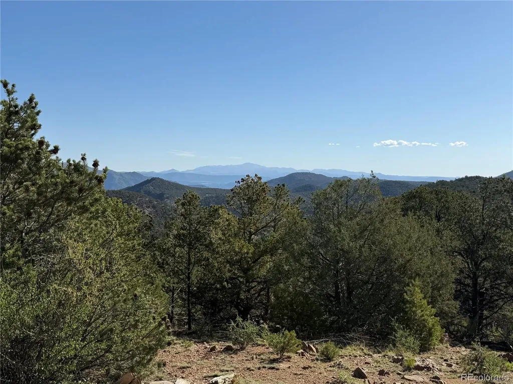 20 Molly Lane Cotopaxi CO 81223