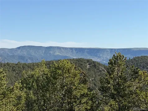 20 Molly Lane Cotopaxi CO 81223