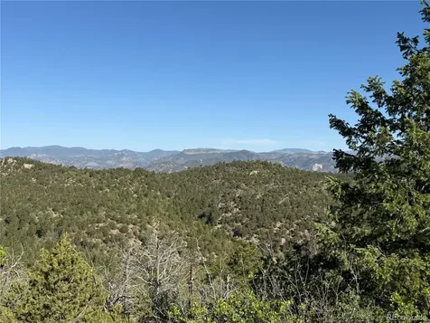 20 Molly Lane Cotopaxi CO 81223