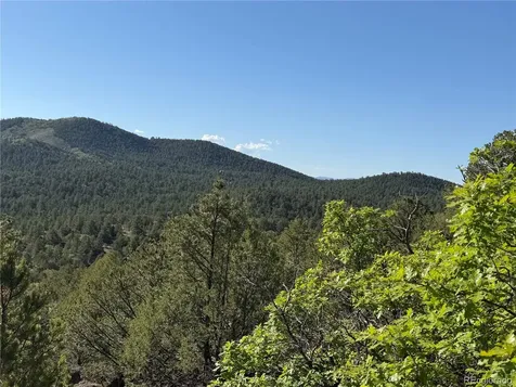 20 Molly Lane Cotopaxi CO 81223