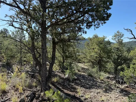 20 Molly Lane Cotopaxi CO 81223