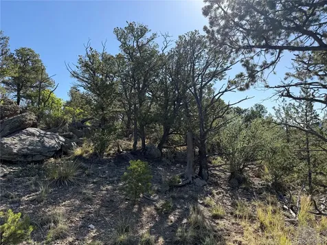 20 Molly Lane Cotopaxi CO 81223