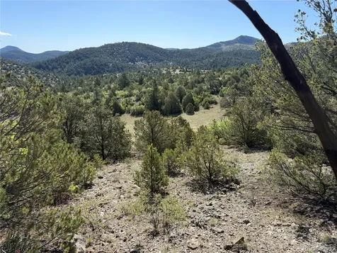 20 Molly Lane Cotopaxi CO 81223