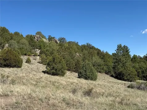 20 Molly Lane Cotopaxi CO 81223