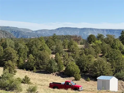 20 Molly Lane Cotopaxi CO 81223