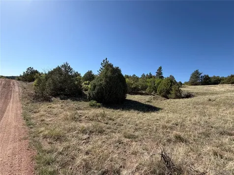 20 Molly Lane Cotopaxi CO 81223