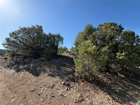 20 Molly Lane Cotopaxi CO 81223