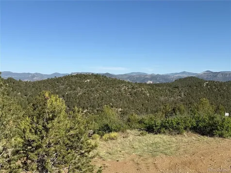 20 Molly Lane Cotopaxi CO 81223