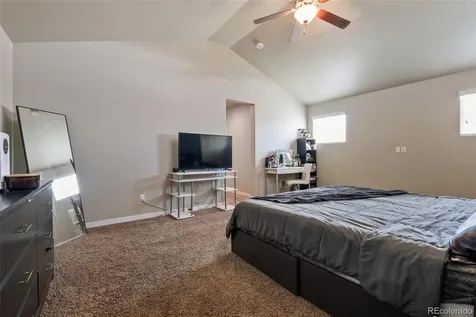 7437 Bigtooth Maple Drive Colorado Springs CO 80925