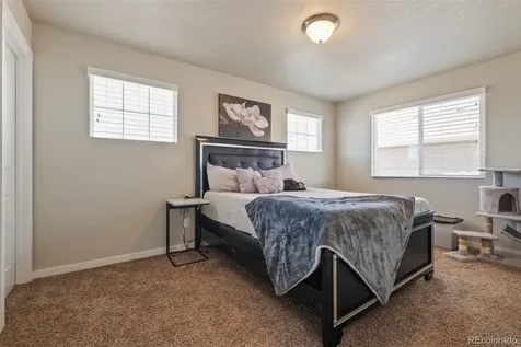 7437 Bigtooth Maple Drive Colorado Springs CO 80925