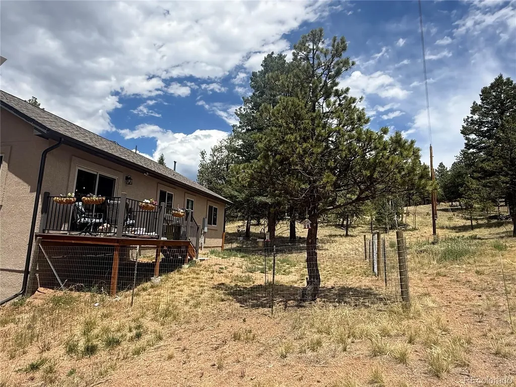 24 Big Horn Circle Florissant CO 80816