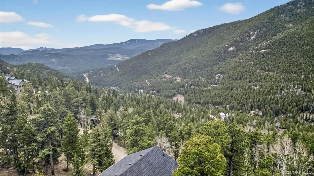 69 Spruce Court Evergreen CO 80439